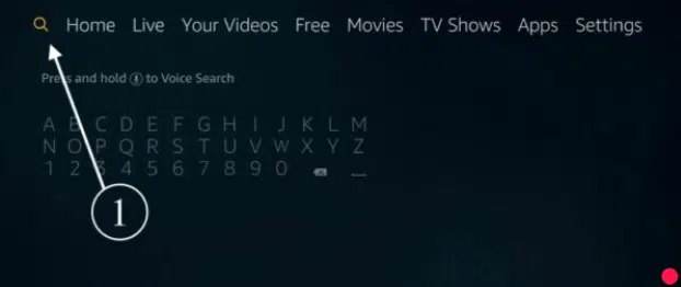 guide iptv